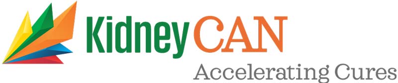 Kidney CAN icon